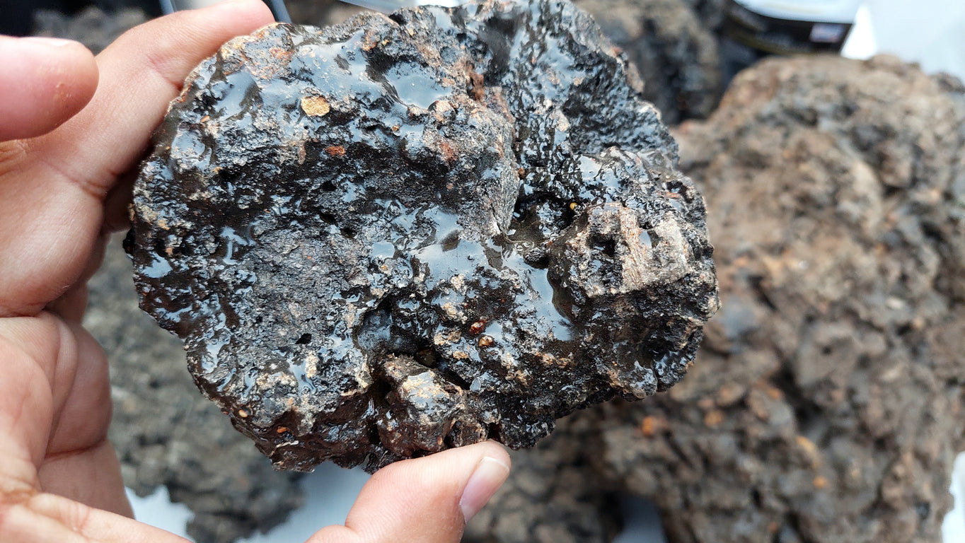 Does Shilajit Contain Vitamins? What's True, What's Unproven and What's Marketing