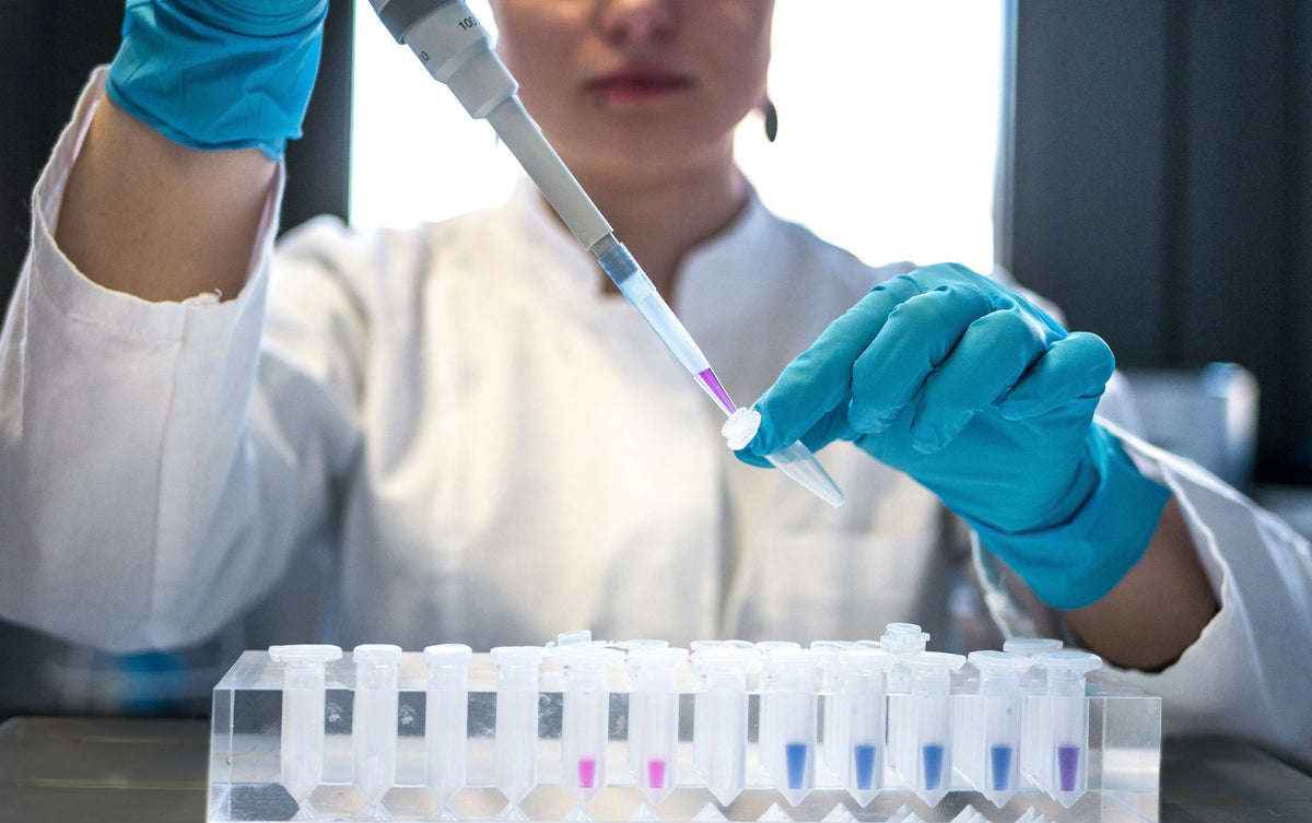 Laboratory technician analysing mushroom extract samples with a pipette and test tubes