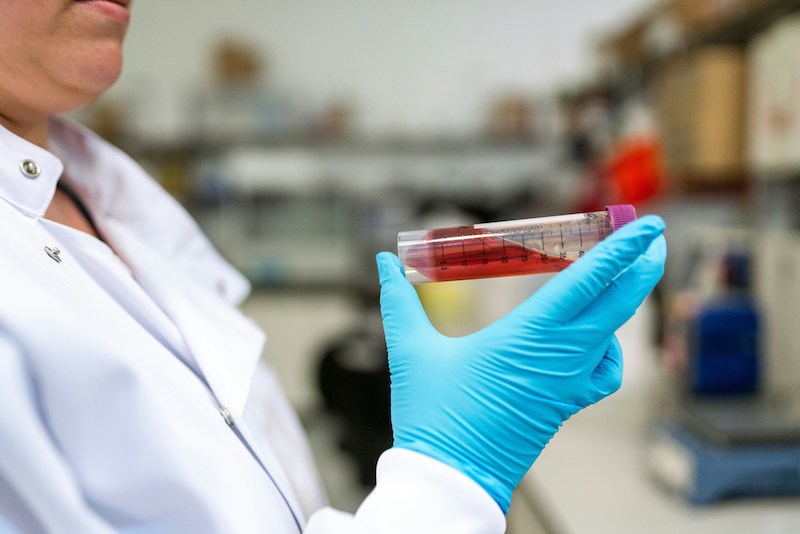 Researcher wearing blue gloves examines a test tube containing a red liquid in a laboratory.