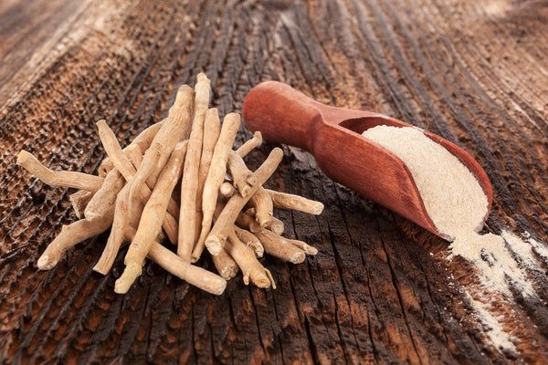 Dried Ashwagandha roots beside a wooden scoop filled with powdered extract.