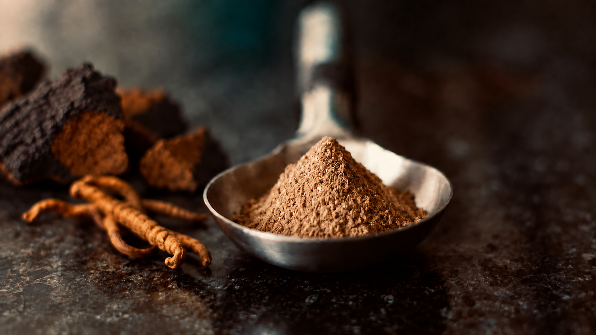 Chaga pieces and Cordyceps beside a scoop of mushroom extract powder