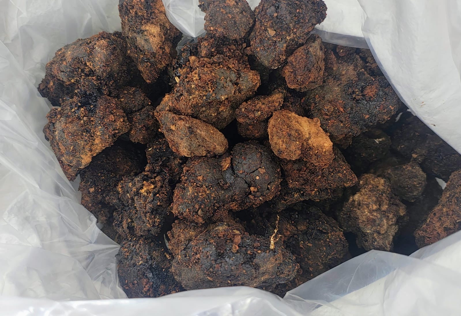 Is Raw Shilajit Really Better? The Purification Paradox Explained