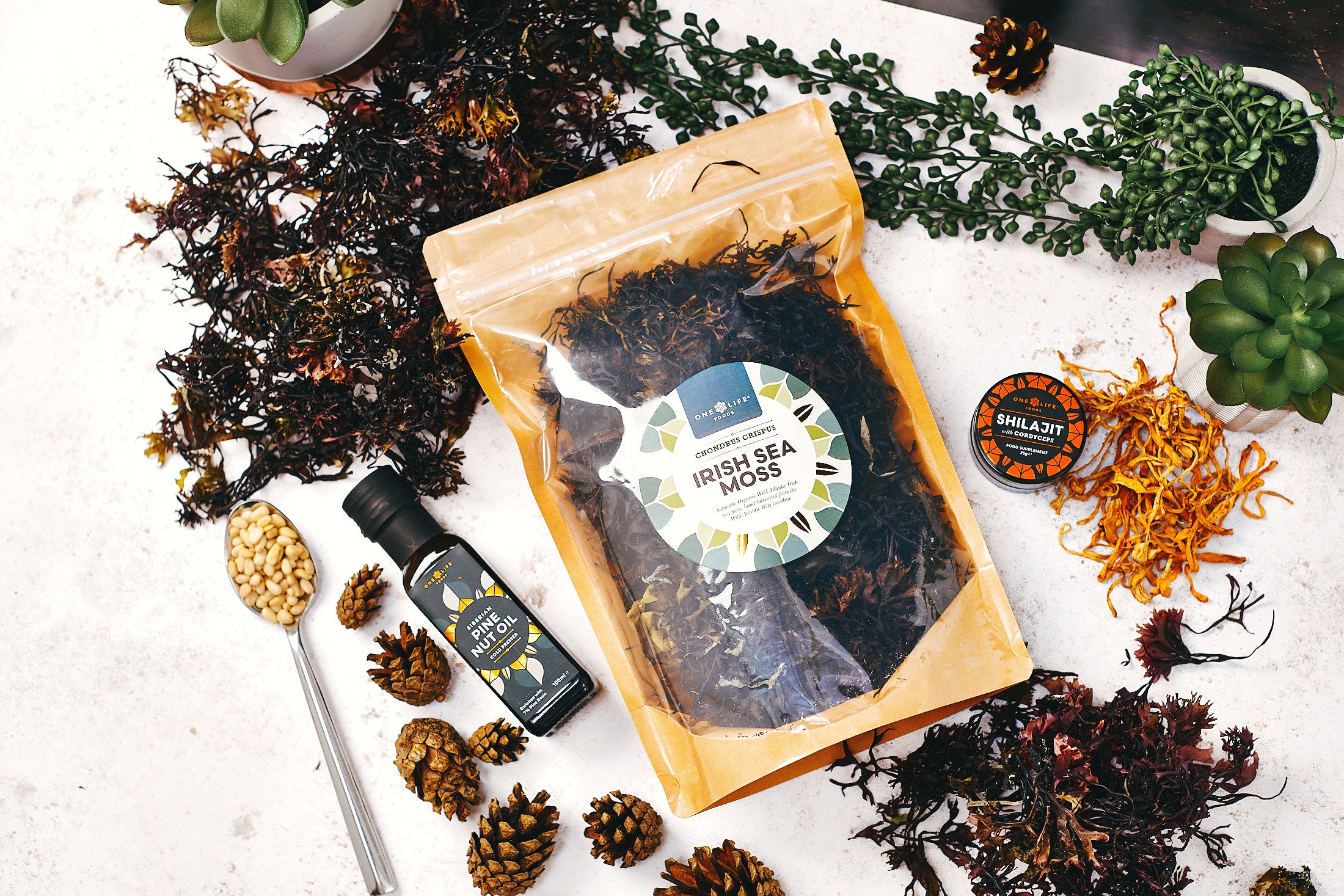 Wild Irish Sea Moss 100g with natural ingredients and dried sea moss display