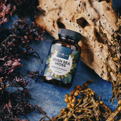 Bottle of Irish sea moss and Bladderwrack capsules on driftwood, and surrounded by whole dried sea moss and bladderwrack.