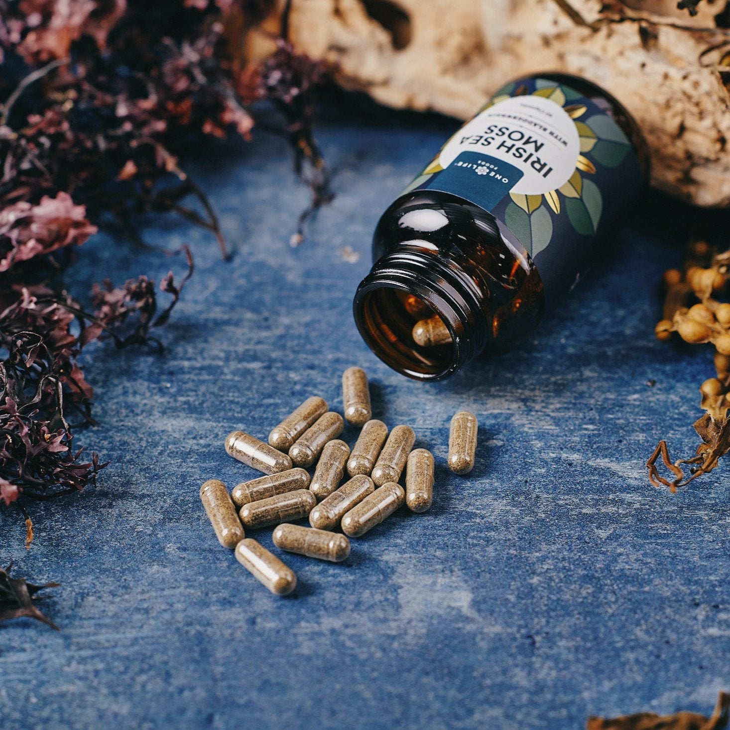 rish sea moss and bladderwrack capsules with wild seaweed and bottle on blue surface